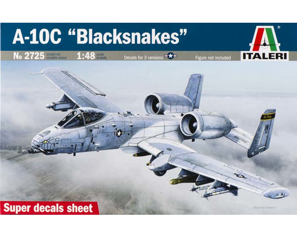 1/48 A-10C Blacksnakes photo