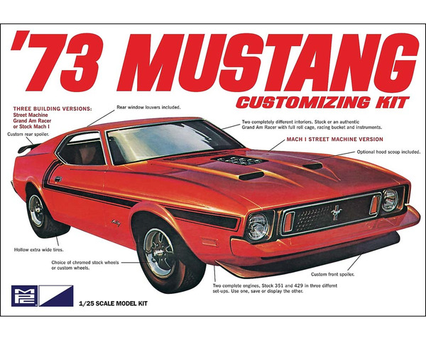 1/25 1973 Ford Mustang photo