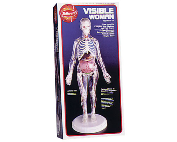 Visible woman plastic model kit photo