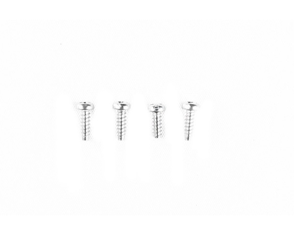 RC 3x8mm Tapping Screw: DT-02 Holiday Buggy 2010 photo