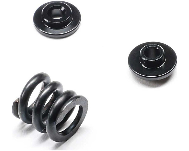 Slipper Spring Set: 22X photo